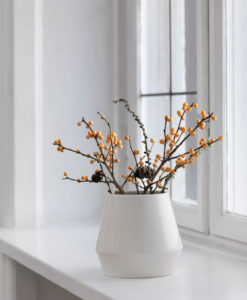 by lassen vase
