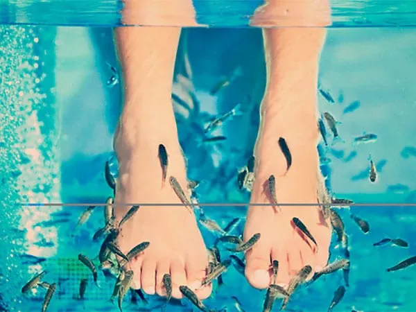 Bad med Garra Rufa fisk