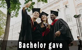 Bachelorgave