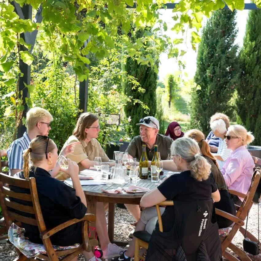 Vinsmagning på Dyrehøj Vingaard — julegave til svigerforældre