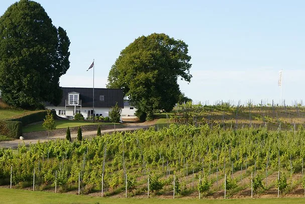 GO DREAM vinsmagning og tapas for 2 — julegave til svigerforældre