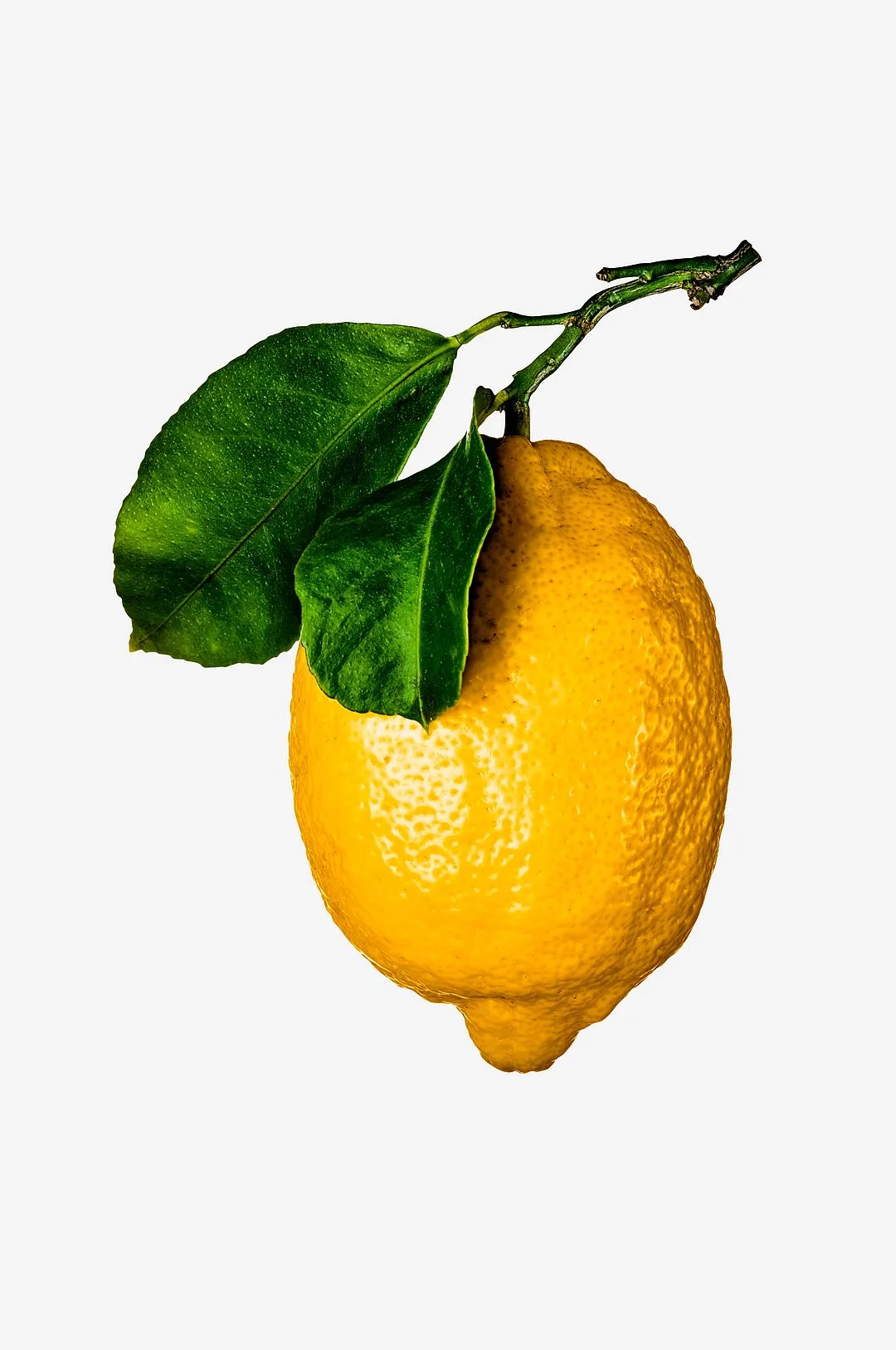 New Mags - Coffee Table Book - The Gourmand'S Lemon . A Collection Of Stories And Recipes - Hvid - Coffee table books - - Homeroom — studentergave fra Homeroom